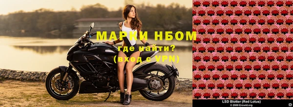 прущий лед Майский