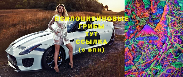 прущий лед Майский