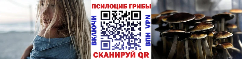 купить наркотики цена Углич Галлюциногенные грибы GOLDEN TEACHER
