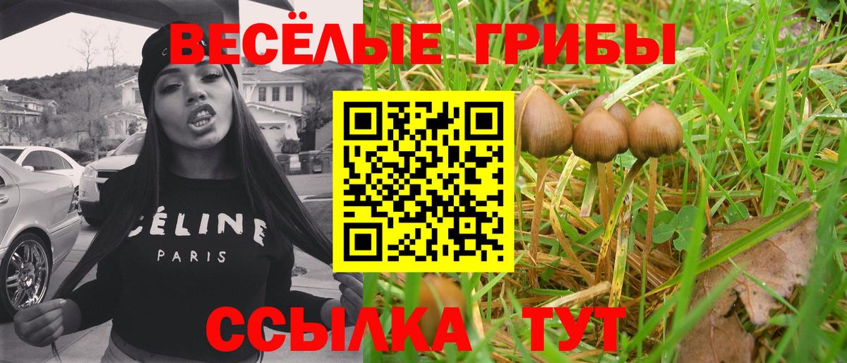 Углич  Псилоцибиновые грибы Psilocybine cubensis  Вход с VPN 