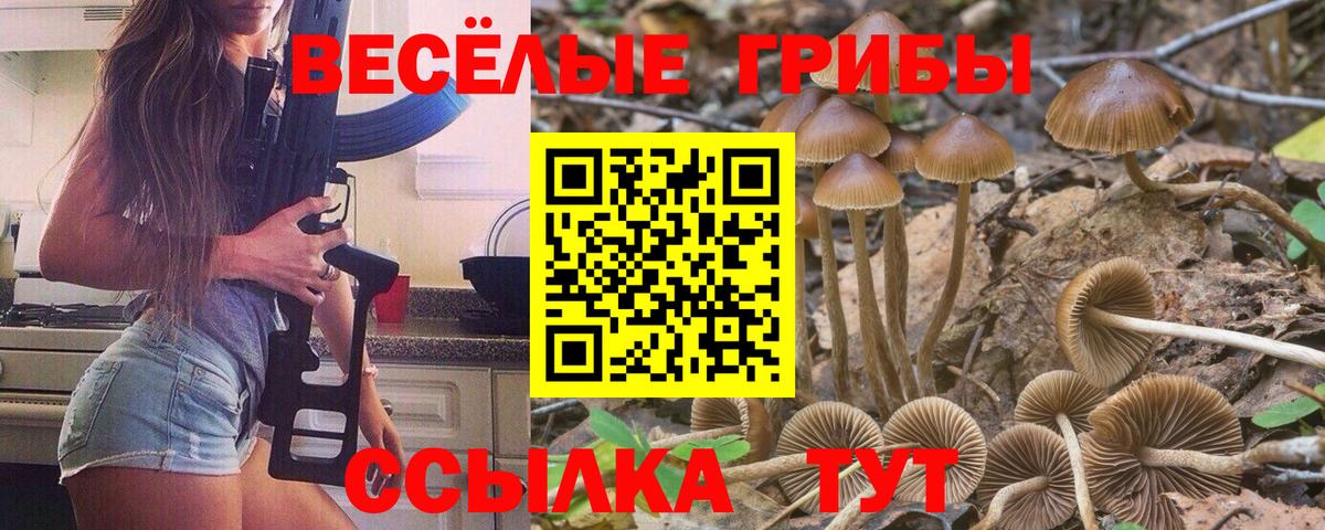Галлюциногенные грибы MAGIC MUSHROOMS Углич