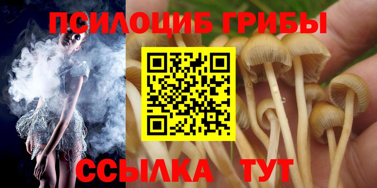 Псилоцибиновые грибы Psilocybine cubensis  Галлюциногенные грибы Psilocybine cubensis  Углич  как найти наркотики  Вход с VPN 